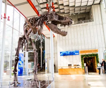 California Academy of Sciences Ticket